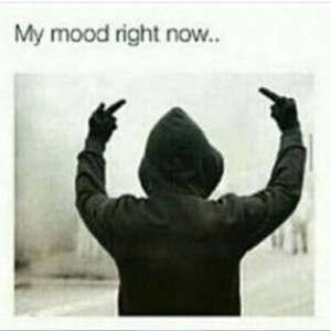 Meet your Posher, Andreoli